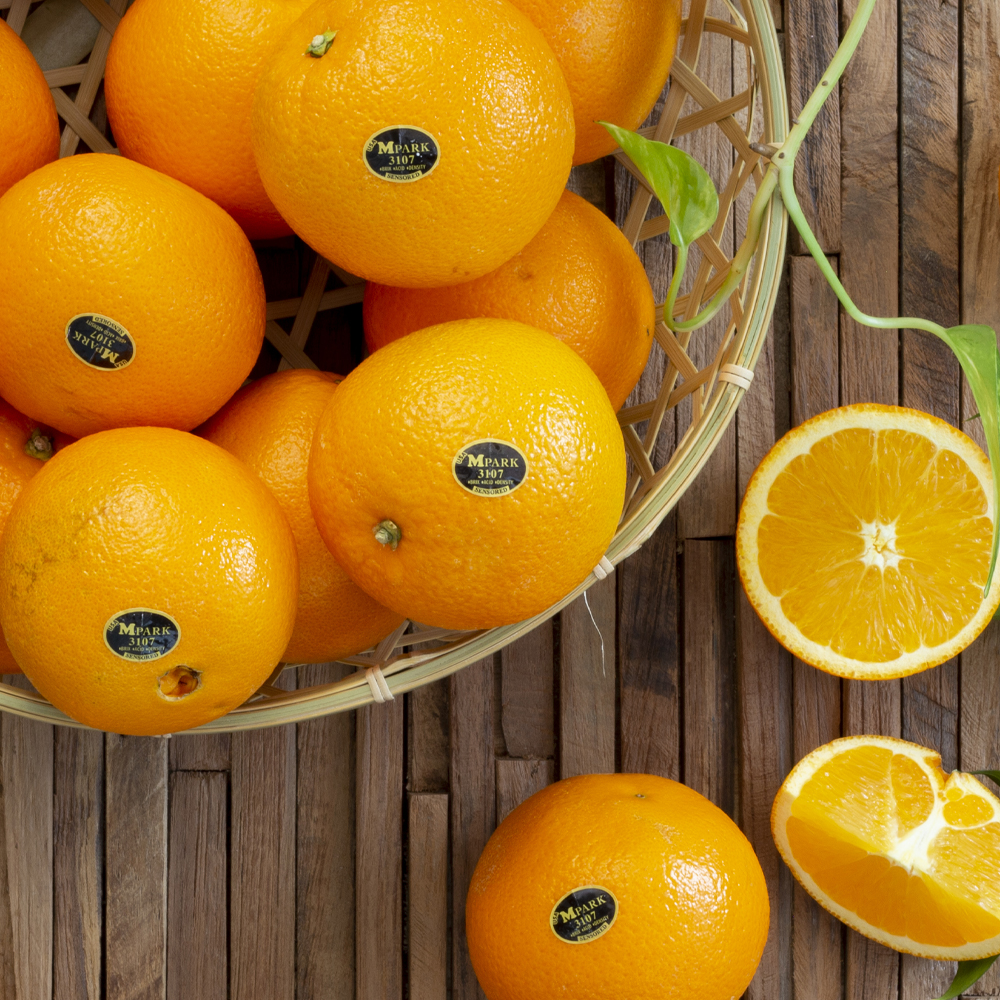 가정용 블랙라벨 고당도 오렌지 중과